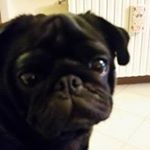 Profile Picture of Roberto Nicora (@roberto.nicora.52) on Instagram