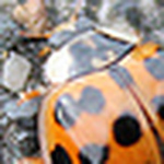 Profile Picture of Micah Armstrong (@micah greer armstrong) on Flickr