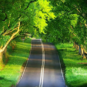 Profile Picture of Samina Sultan (@saminasultan8767) on Youtube