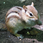 Profile Picture of David Connolly (@david_c_83) on Flickr