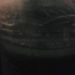 Profile Picture of Caleb Crowley (@bcoffey81) on Pinterest