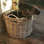 Profile Picture of Janet Plunkett (@janetplunkett) on Instagram