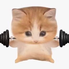 Profile Picture of Ham.point (@lil.hamsterday) on Tiktok