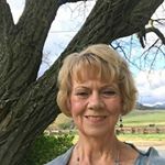 Profile Picture of Nancy Stewart (@nancyastewart1) on Instagram