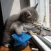 Profile Picture of Jimmy Jiang (@jimmy.jiang.739) on Facebook