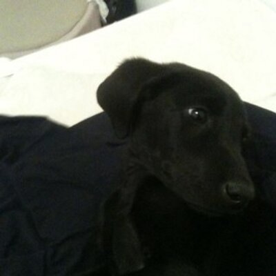Profile Picture of Jacob L. Keeney (@1Keeney1) on Twitter