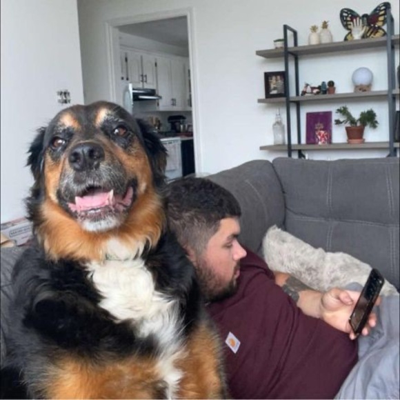 Profile Picture of Earle Anstey (@earleanstey) on Poshmark