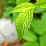 Tomasz Łaciński - Instagram Profile Picture of Tomasz Łaciński (@photo_ramnit) on Instagram