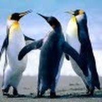 Profile Picture of Matthew E. Polci (@matthew-e-polci) on Quora
