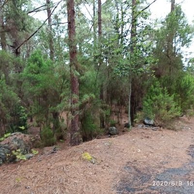 Profile Picture of María Isabel Padilla Peraza (@MIsabelpadilla) on Twitter