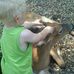 Profile Picture of Joy Strader (@joy.strader.5) on Facebook