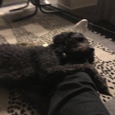 Profile Picture of John A Manwaring (@arthurJAM1950) on Twitter