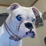 Profile Picture of James Conley (@james.conley.94) on Facebook