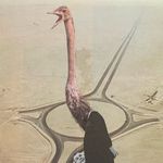 Profile Picture of Briana Ratterman Trevithick (@brianatrevithick) on Instagram