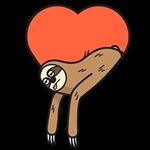 Profile Picture of Drew Licari (@andrewlicari93) on Instagram