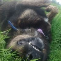 Profile Picture of Frank Higgins (@frank-higgins-7) on Quora