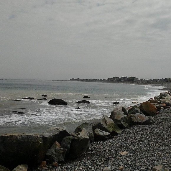 Profile Picture of Gennaro Pirone (@gennarop40) on Poshmark