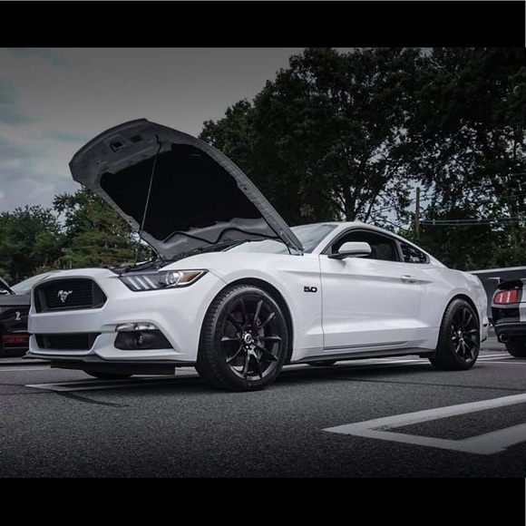 Profile Picture of Scott Christensen (@sidewall83) on Poshmark