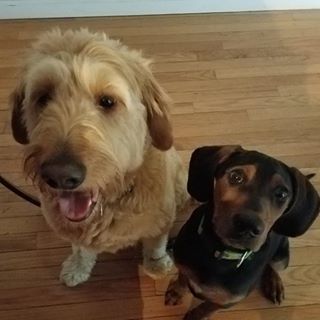 Profile Picture of Kerri Mahoney (@kerrim1973) on Facebook