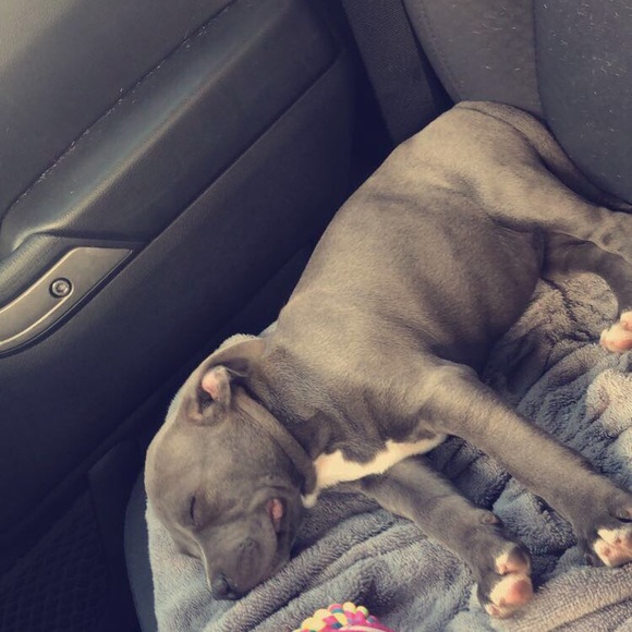 Profile Picture of Maggie Meggs (@maggie_meggs) on Poshmark