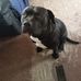 Profile Picture of Dawn Roberts (@dawn.roberts.927980) on Facebook