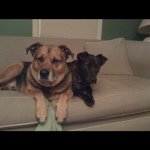 Profile Picture of James Lamoreaux (@jamalamtoriginal) on Instagram