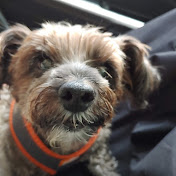 Profile Picture of Chuck U. Farley (@teknogeko) on Youtube