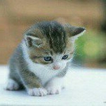 Profile Picture of Sumia Abdallah (@sumia_abdallah) on Instagram