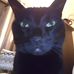 Profile Picture of Richard Neave (@richard.neave.39) on Facebook