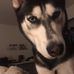 Profile Picture of Cory Zheng (@cory.zheng.1) on Facebook