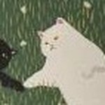 Profile Picture of Andrew Kimmel (@kimmel_andrew) on Instagram