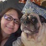 Profile Picture of Shelly Ann Trader (@tradershelly) on Instagram
