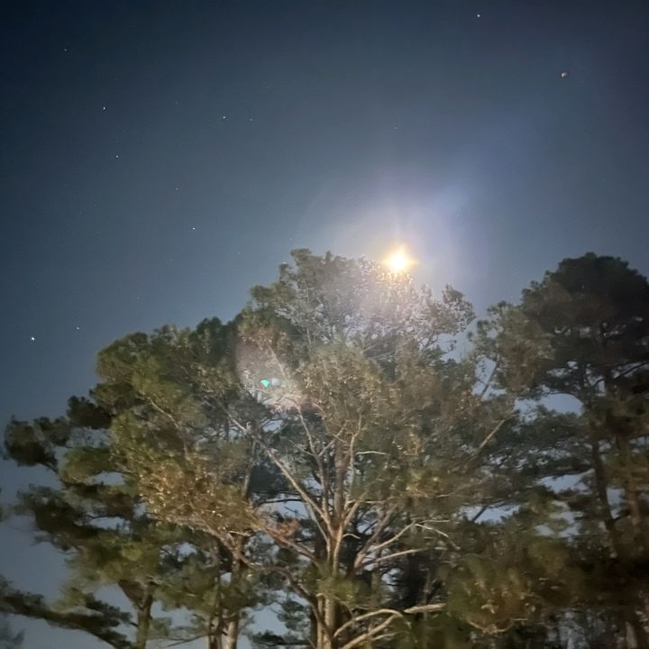 Profile Picture of Zach attack (@zacharyrb2) on Tiktok