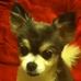 Profile Picture of Robert Schug (@robert.schug.1) on Facebook