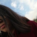 Profile Picture of Nancy Gissel (@taensg) on Instagram