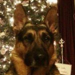 Profile Picture of Peter Hoch (@peter_hoch_) on Instagram