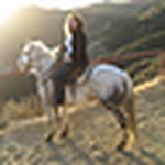 Profile Picture of Lee Alexander (@lee.alexander7) on Flickr