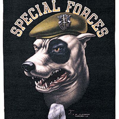 Profile Picture of John Alexander Moren (@JamvJohn) on Twitter