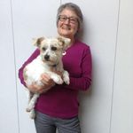 Profile Picture of Cathy O'Connell (@cathyocnz) on Instagram