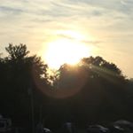 Profile Picture of Joey Wolfe (@wolfe_joey) on Instagram