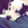 Profile Picture of James Lemons (@@jameslemons1) on Tiktok