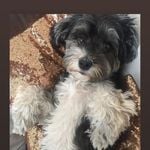 Profile Picture of Diana Mier (@helmutcovershoot) on Instagram