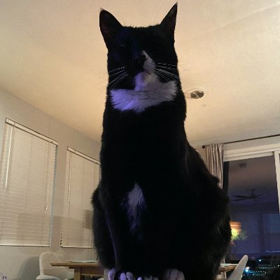 Profile Picture of RR (@rred1178) on Twitter