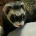 Profile Picture of Kayleen Mohrmann (@kayleenmohrmann) on Pinterest