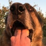 Profile Picture of andrew (@andre.m.wichert2017) on Instagram