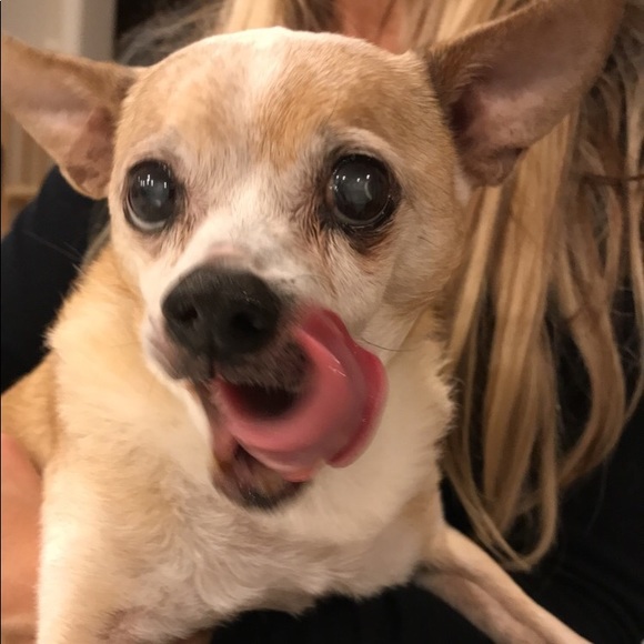 Profile Picture of James Lungen (@yaboyjames) on Poshmark