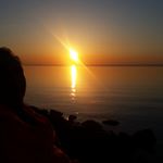 Profile Picture of Mark Plott (@markplott84) on Instagram