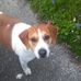 Profile Picture of Wayne Singleton (@wayne.singleton.773) on Facebook