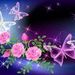 Profile Picture of Sandy Silva (@silvasep) on Pinterest