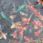 Profile Picture of Jett Andrews (@jett_andrews) on Instagram